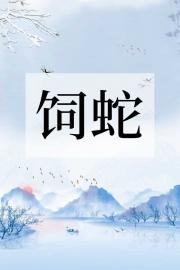 九州天王葉淩天的小說